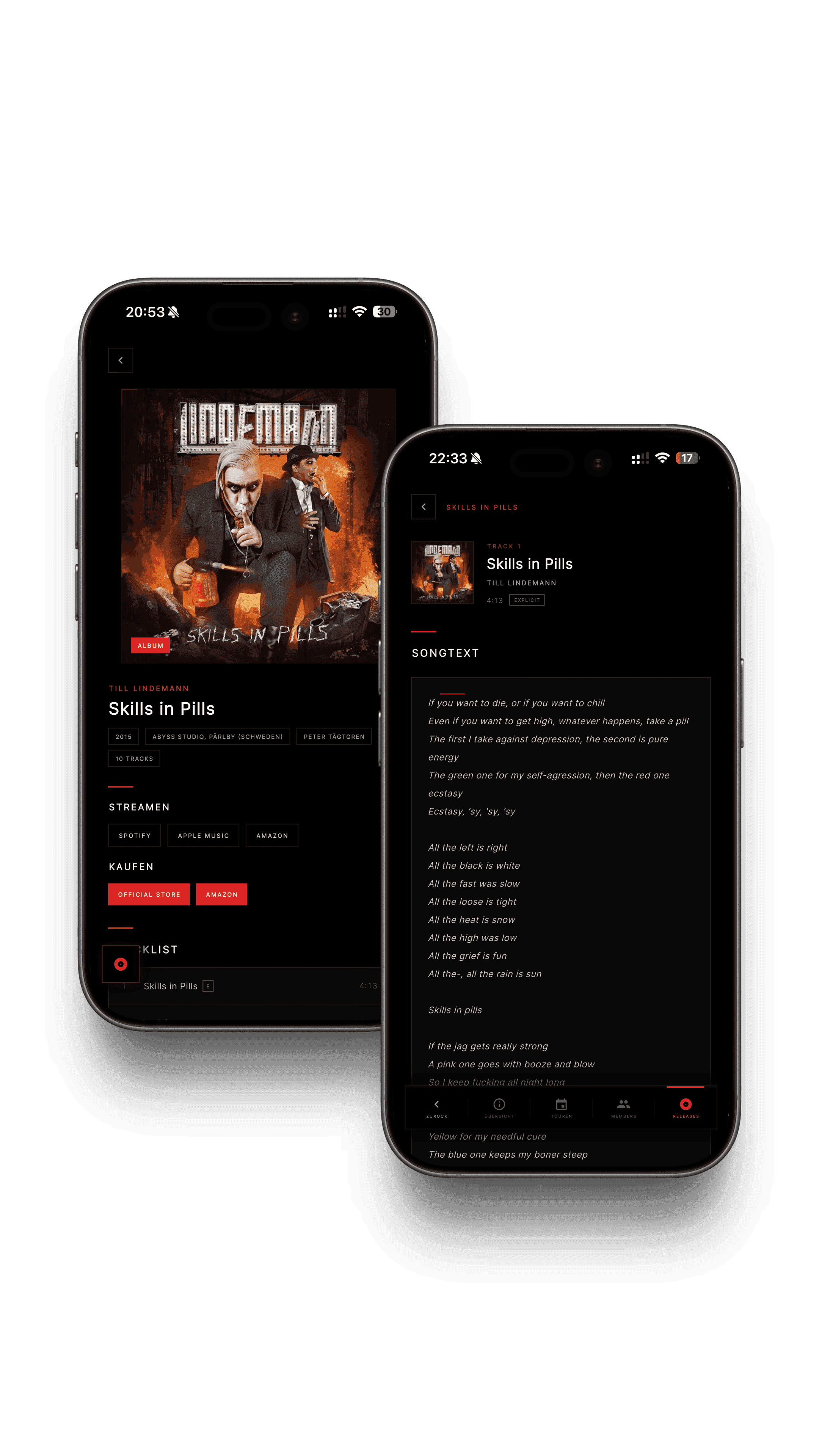 App-Screenshot: Release-Ansicht Skills in Pills mit Streaming-Links, Shop und Songtexten